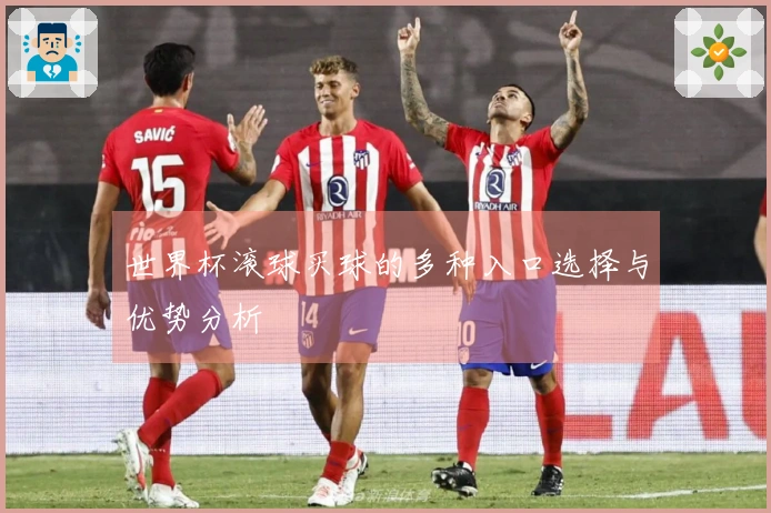 世界杯滚球买球的多种入口选择与优势分析