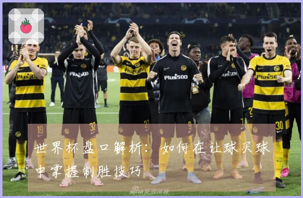 世界杯盘口解析：如何在让球买球中掌握制胜技巧