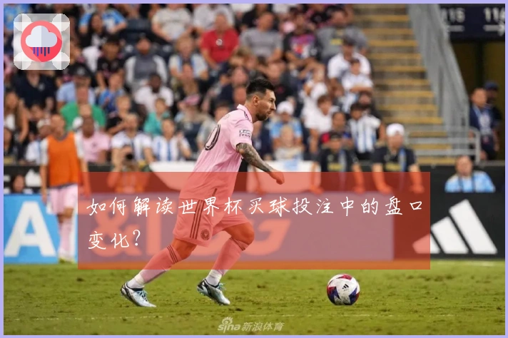 如何解读世界杯买球投注中的盘口变化？