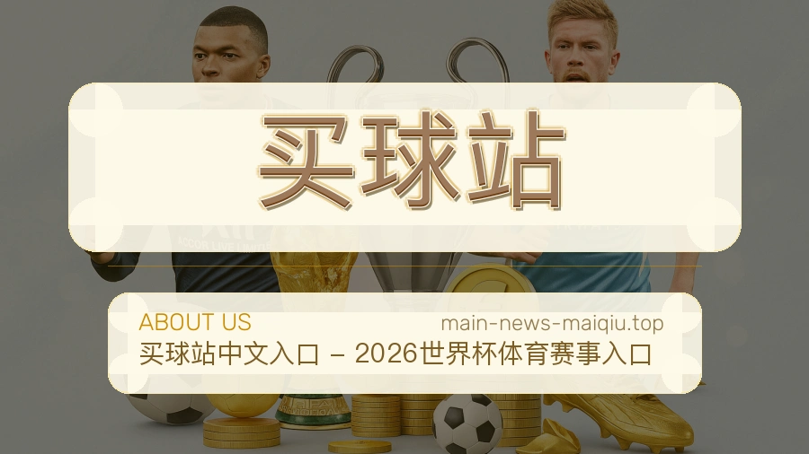 关于 买球站 团队与服务